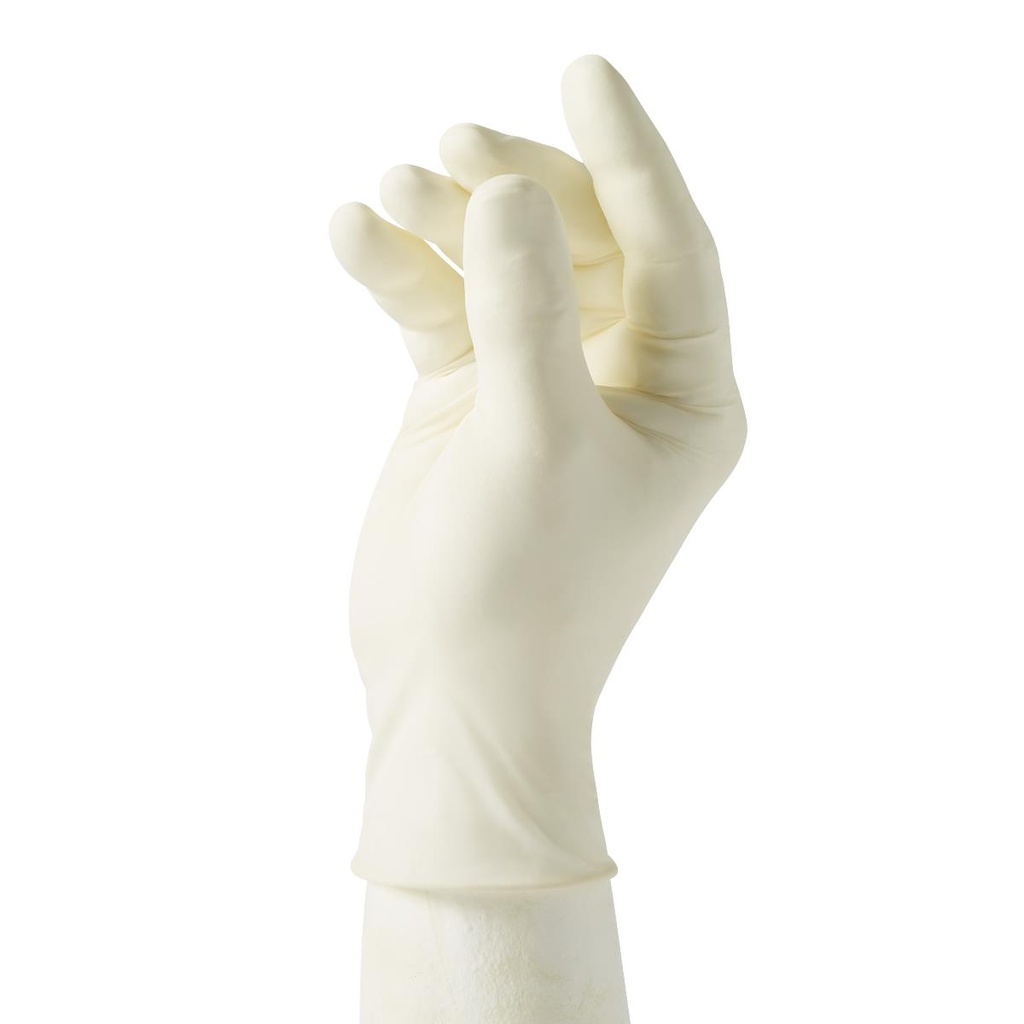 CURAD® Powder-Free Latex Exam Glove | CASE/900 EACH;BOX/90 EACH