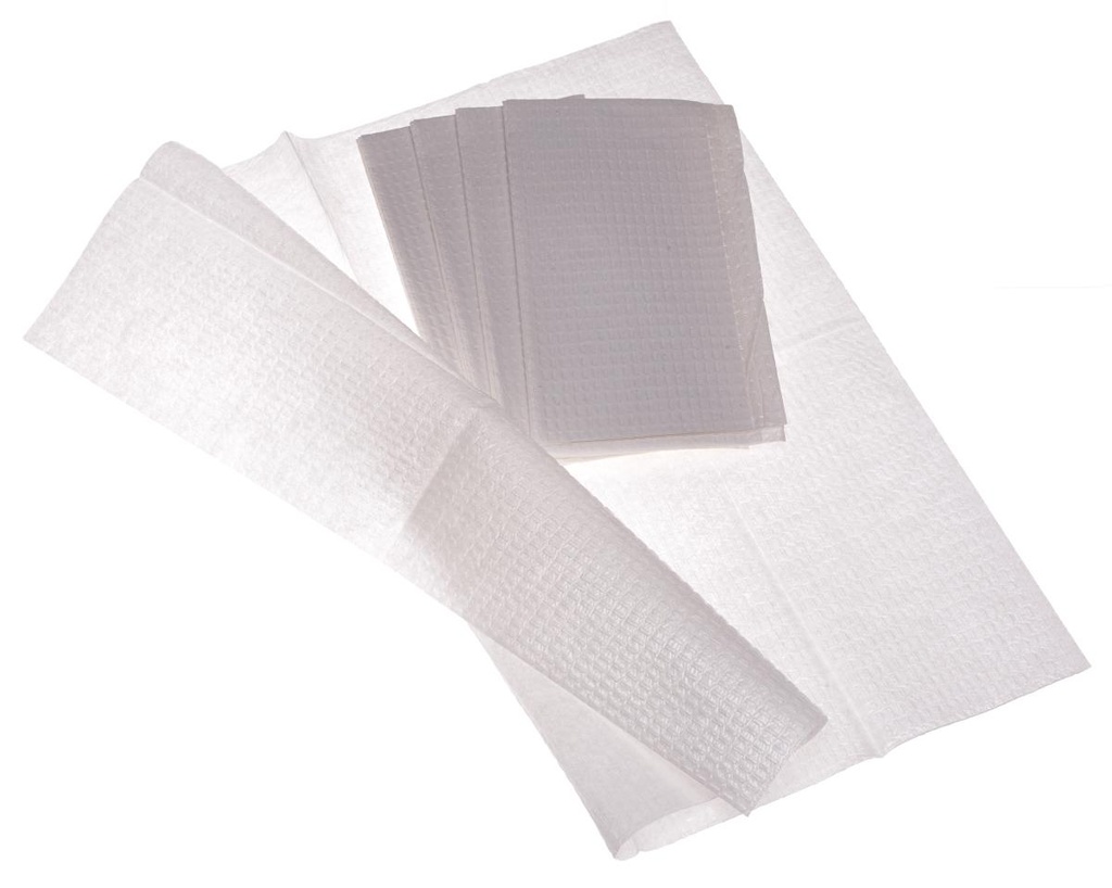 Medline Professional Towel, 2 Ply; 13" x 18" (33 cm x 46 cm), Blue | CASE/500 EACH