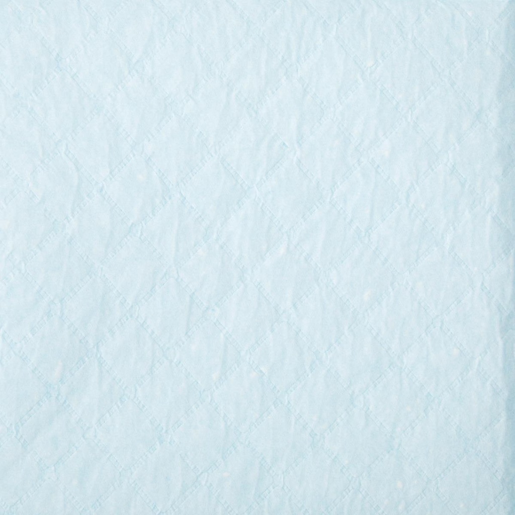 Medline Protection Plus Single-Use Underpad; 23" x 36" (58 cm x 91 cm), Moderate Absorbency, Blue | CASE/150 EACH